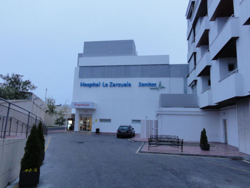 Hospital de La Zarzuela, Madrid